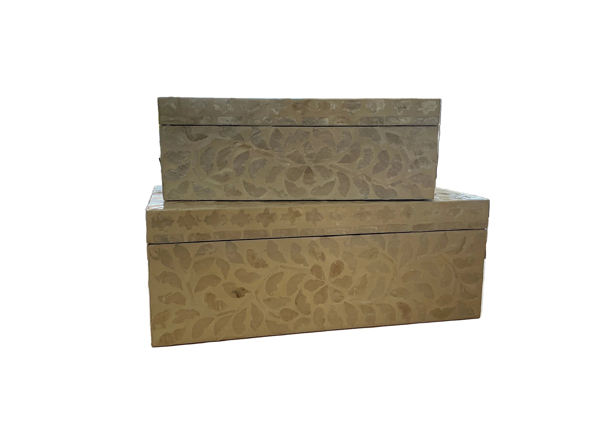 Set of 2 Shell Overlay Boxes