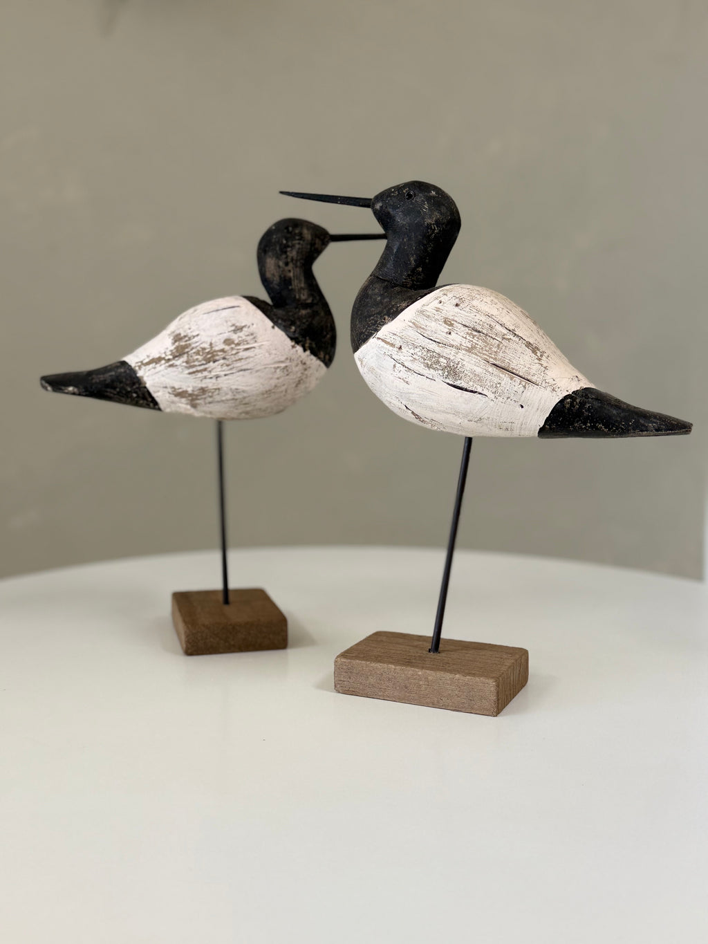 Large Sea Bird - Black