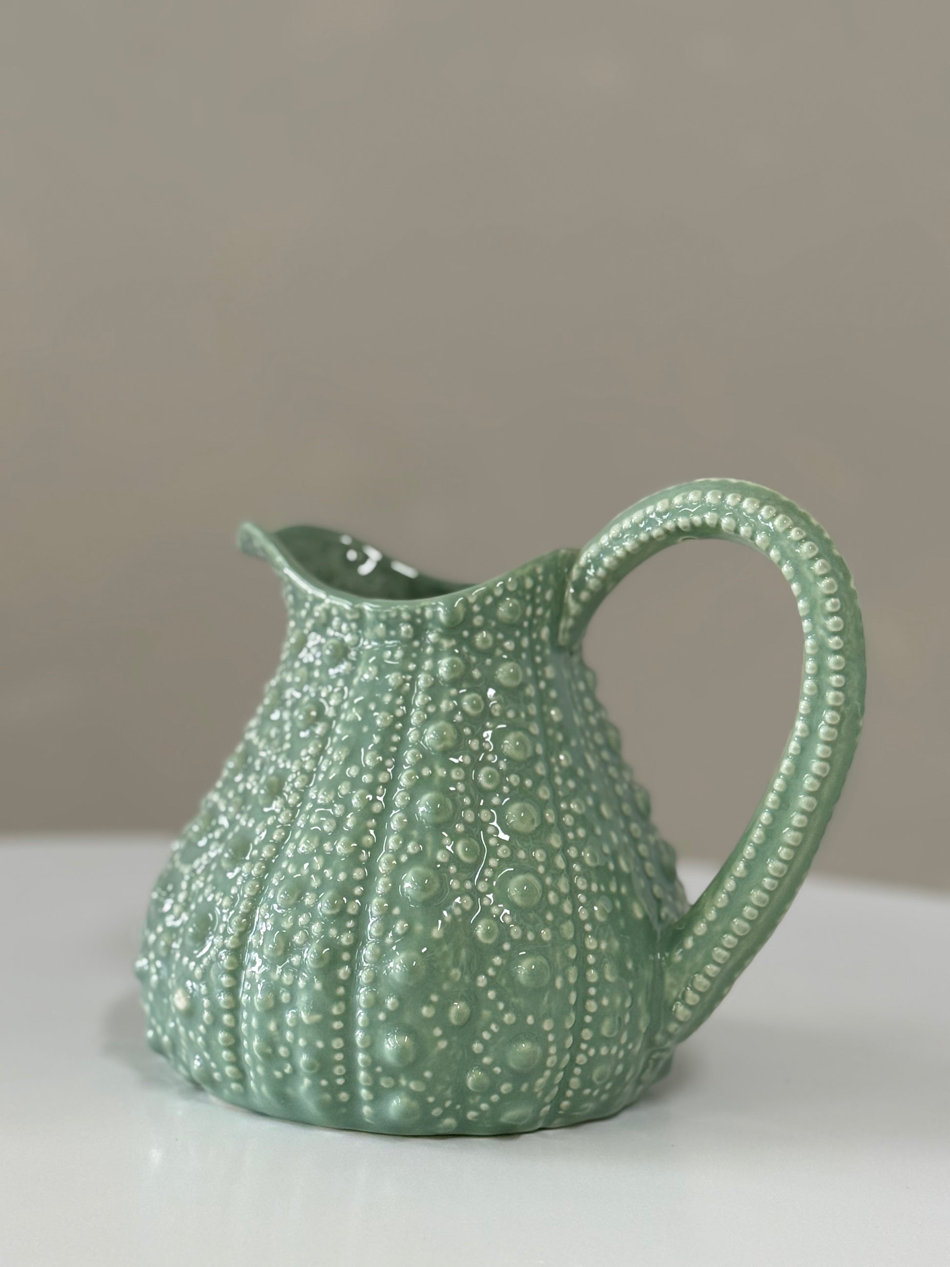 Sea Urchin Jug