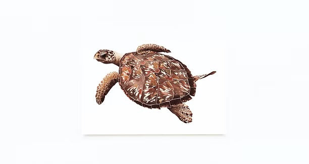 Greeting Cards