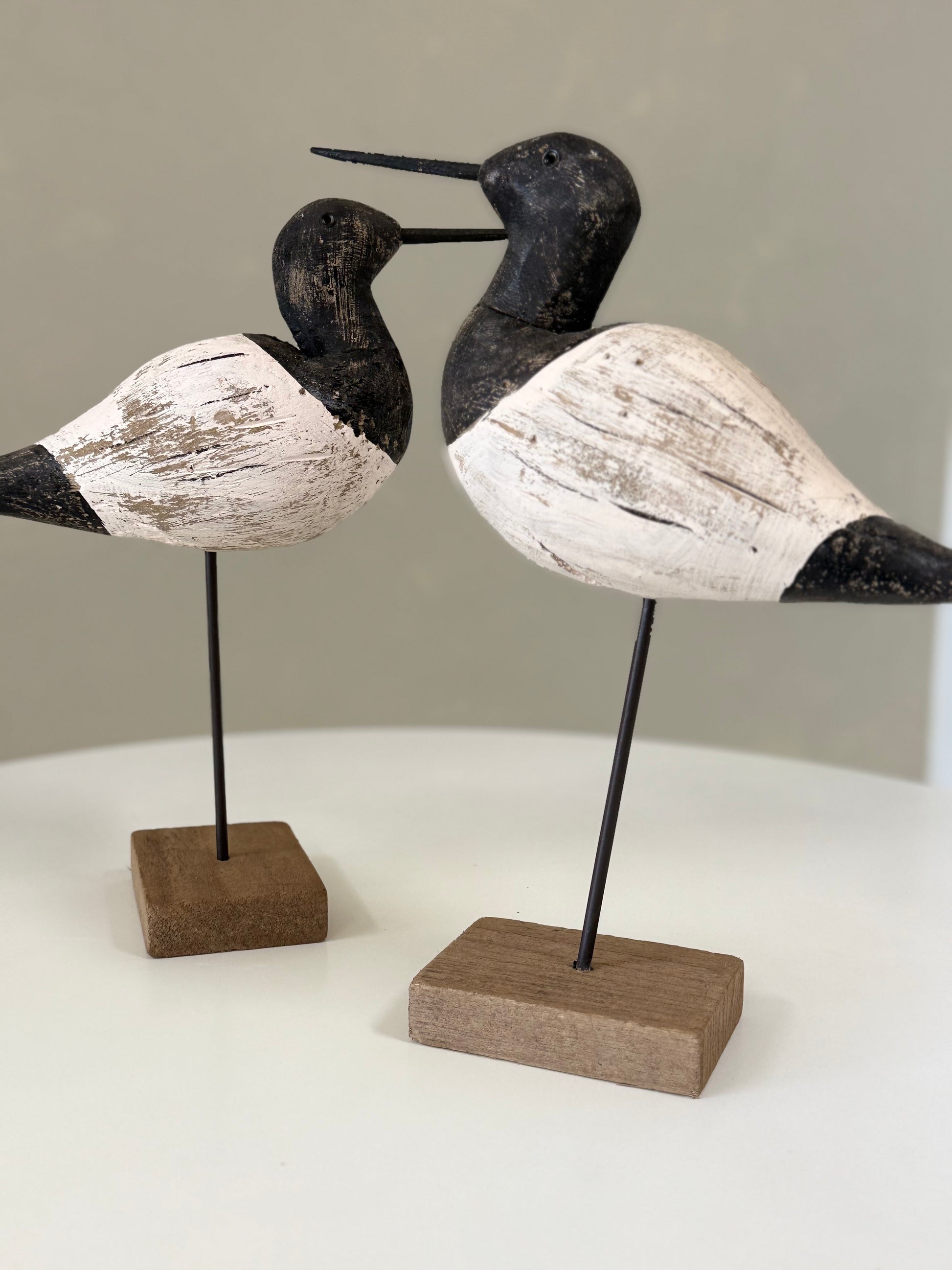 Large Sea Bird - Black