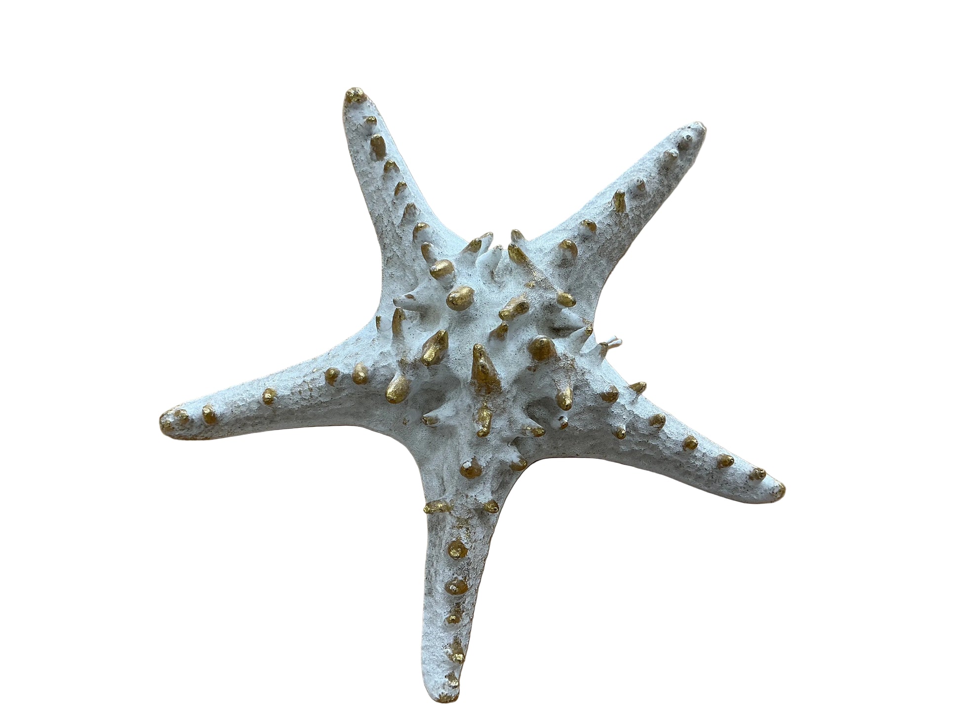 White Starfish with Gold Detailing