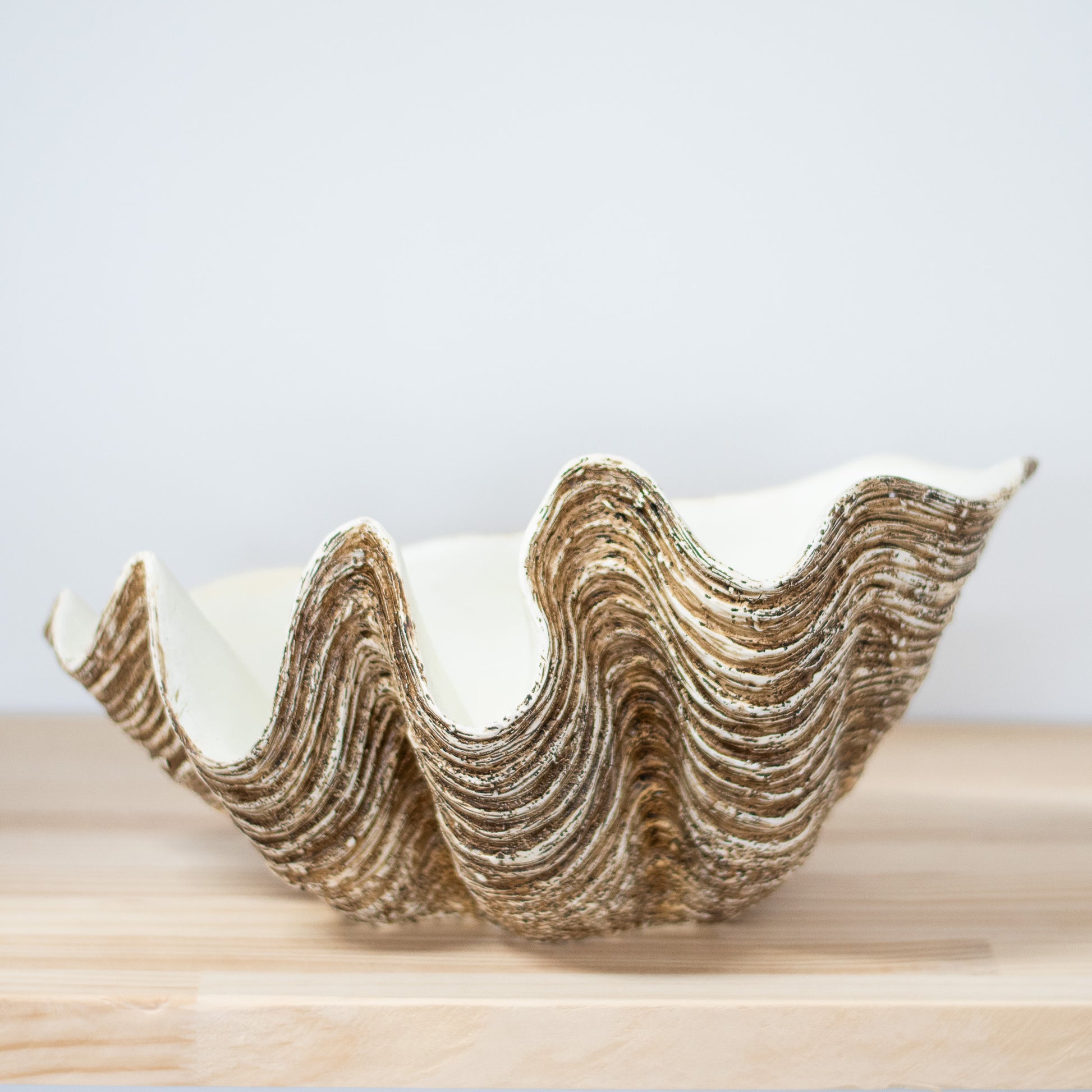 Resin Clam Golden Shell Large