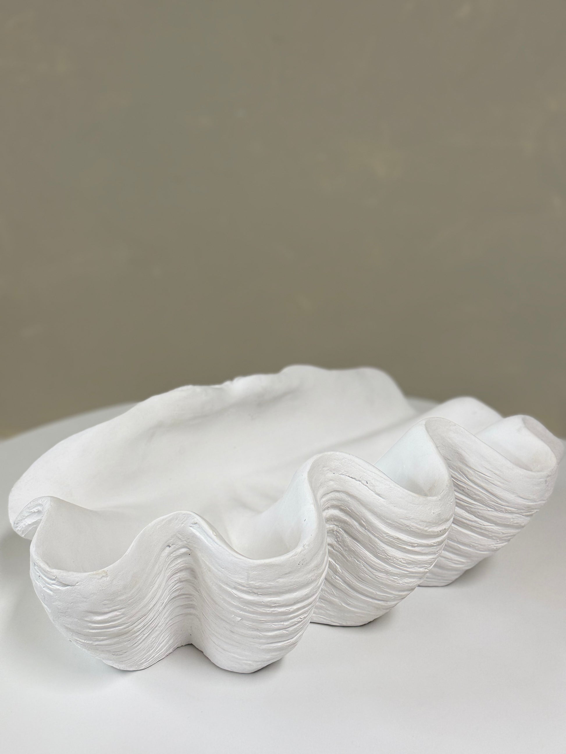 Large white resin clam shell