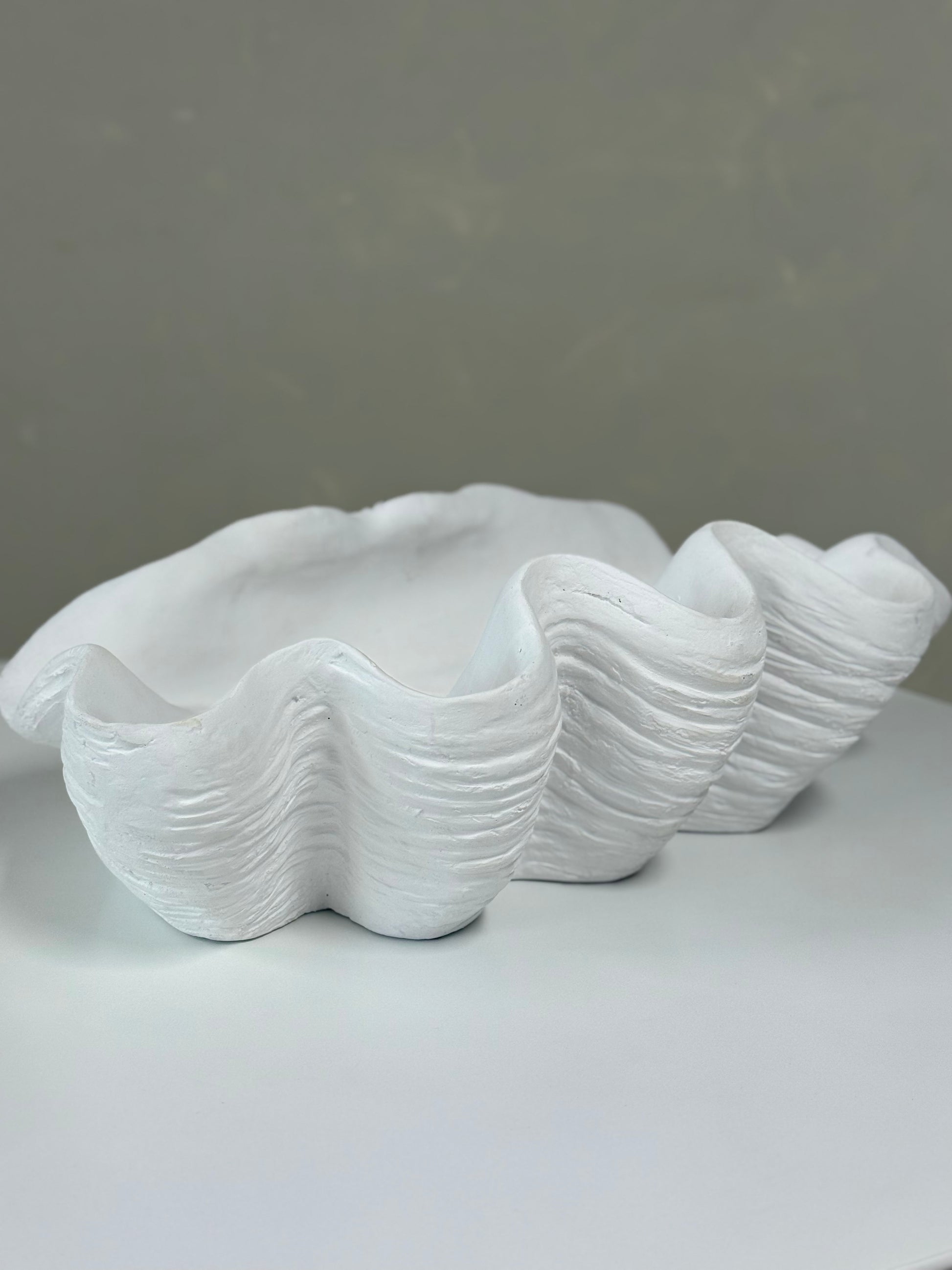 Large white resin clam shell