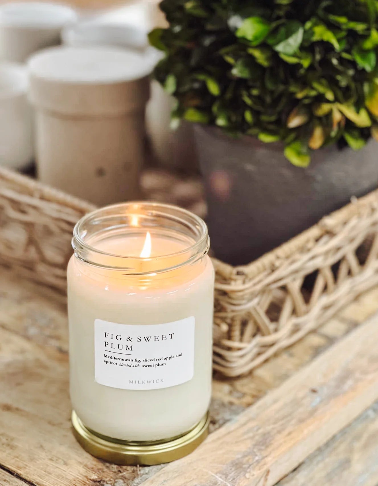 Fig & Sweet Plum