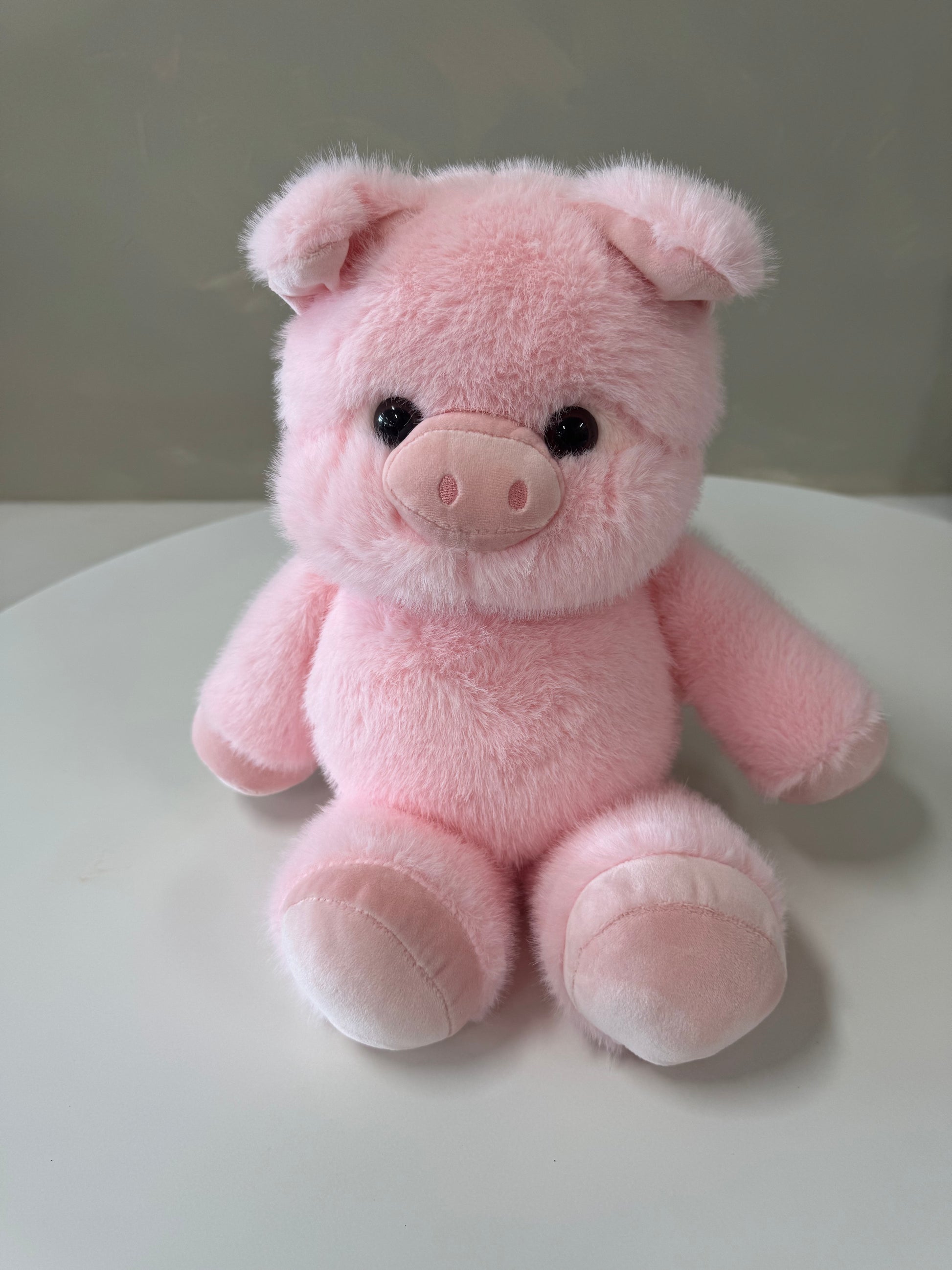 Poppy the Pig