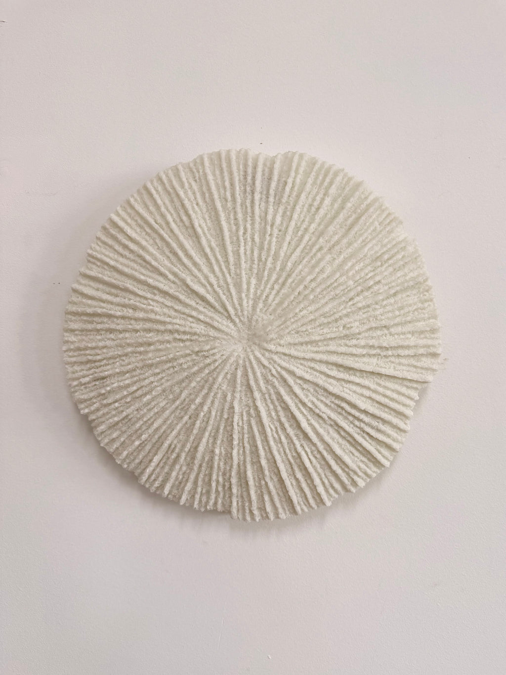 Coral Resin Wall Art