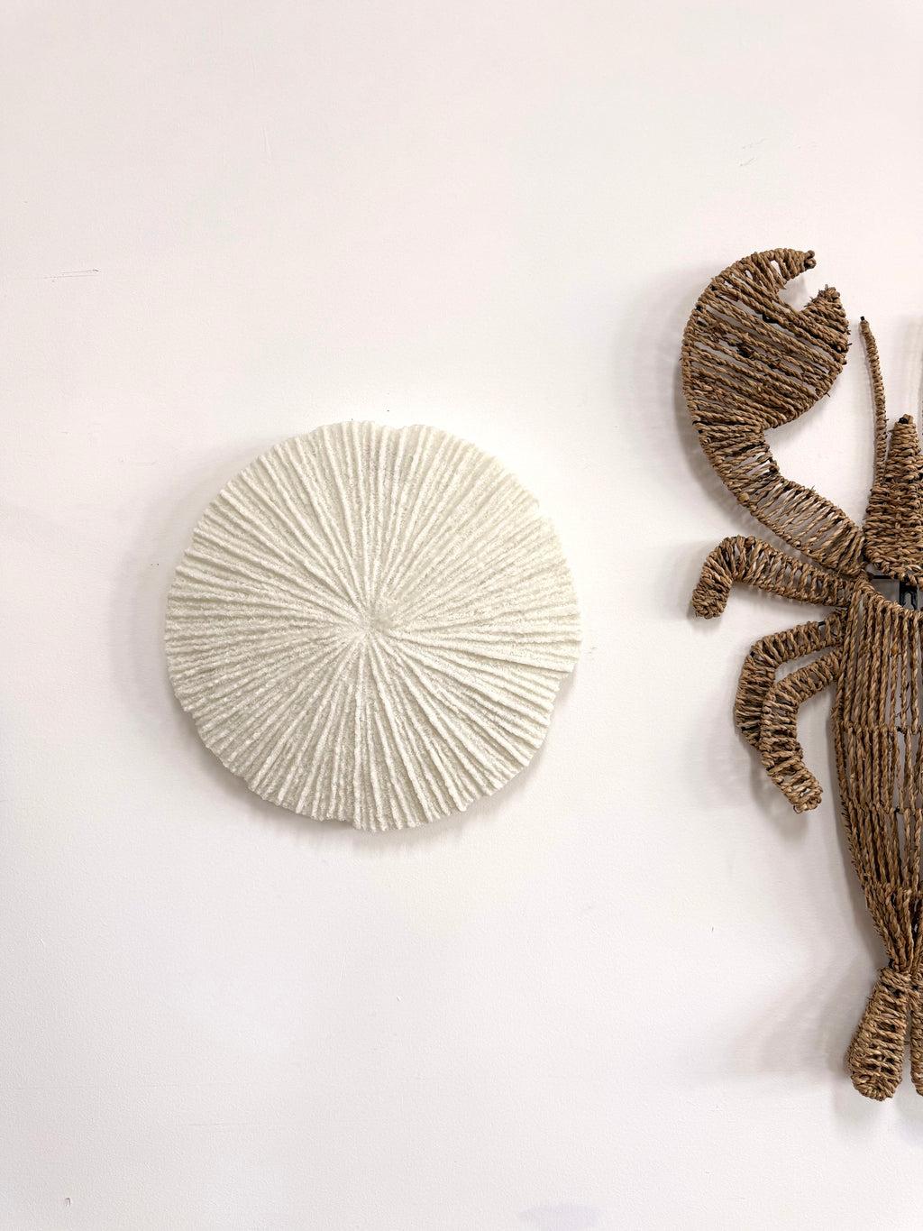 Coral Resin Wall Art