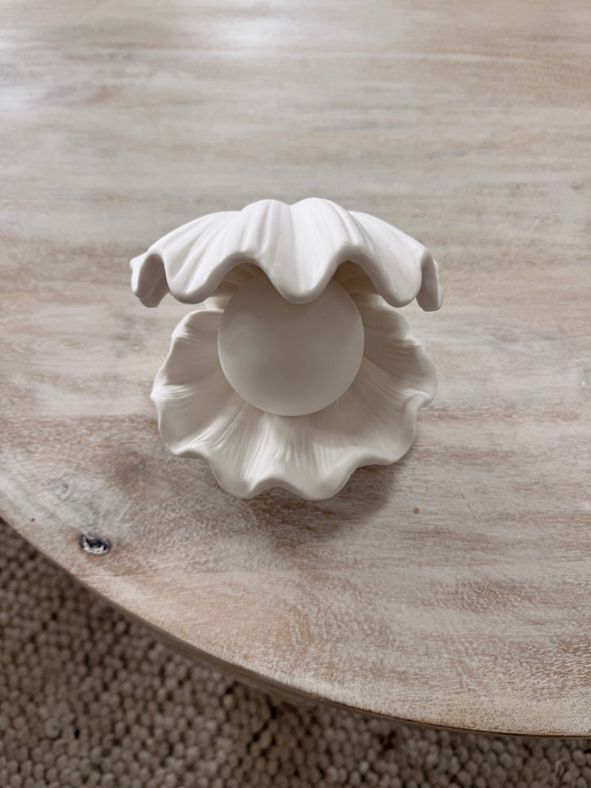Clam Shell Lamp/Light