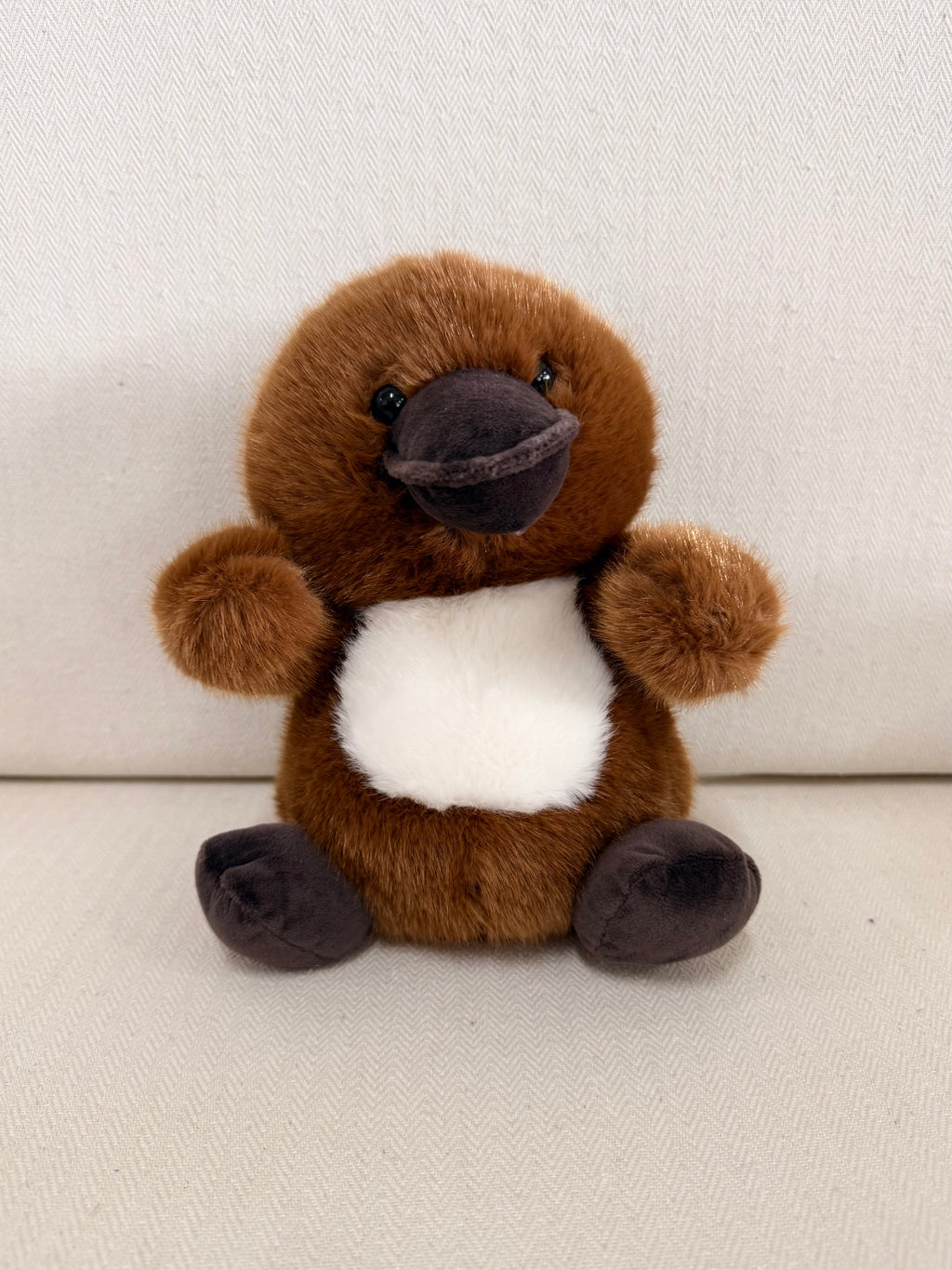 Mr Puddles the Platypus