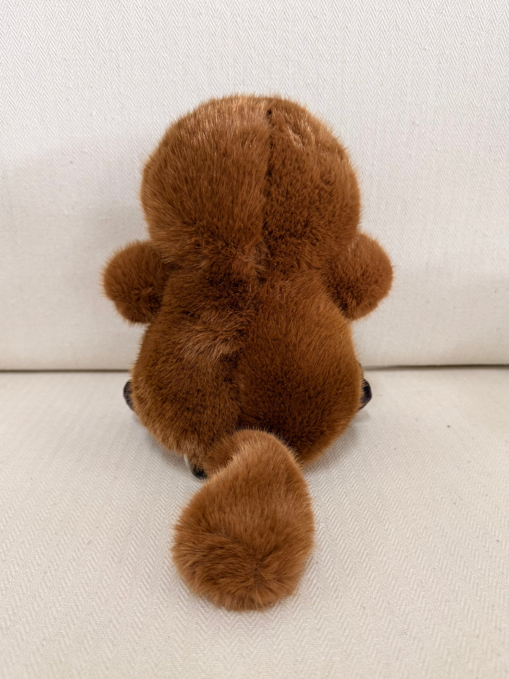 Mr Puddles the Platypus
