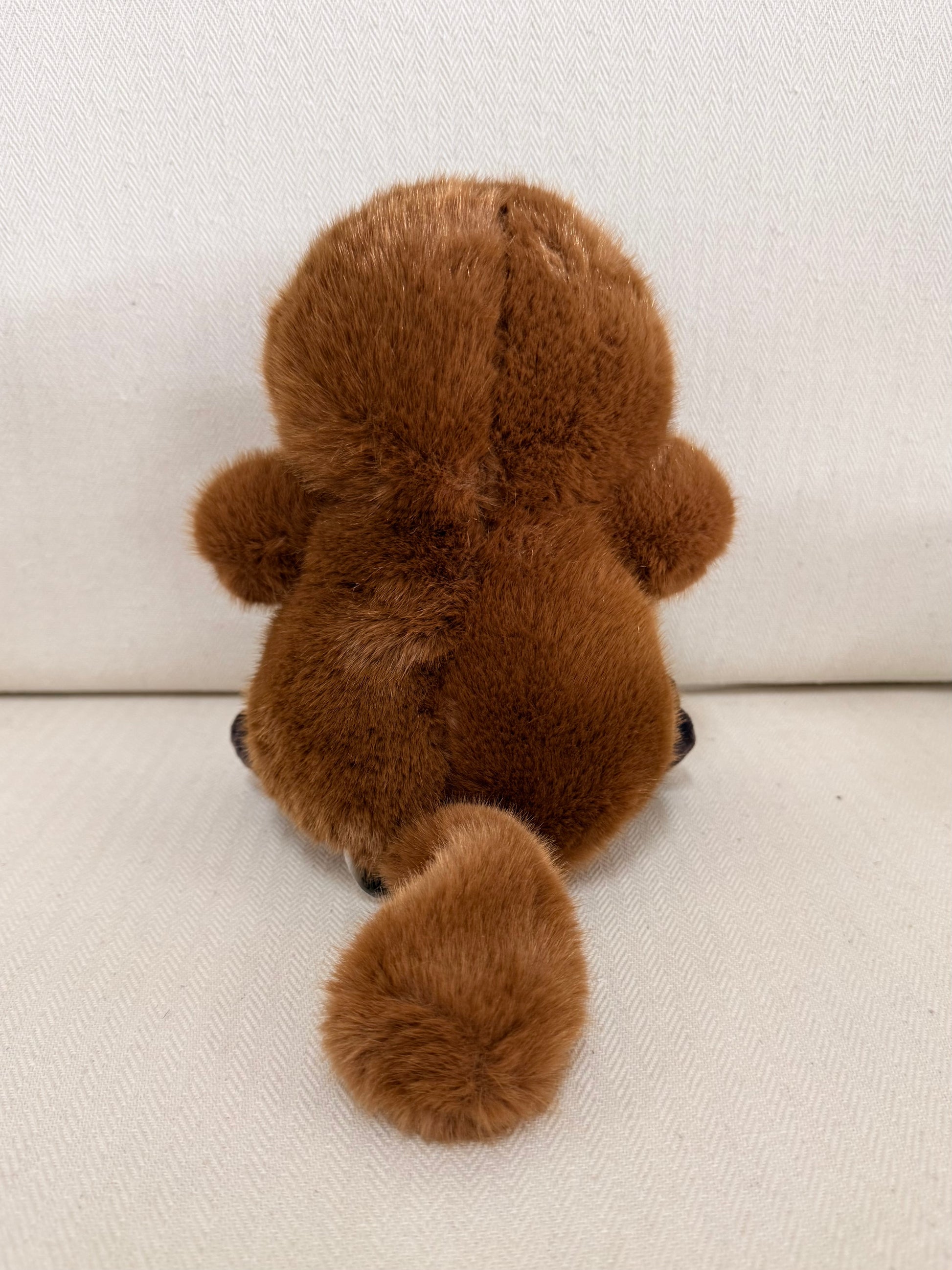 Mr Puddles the Platypus