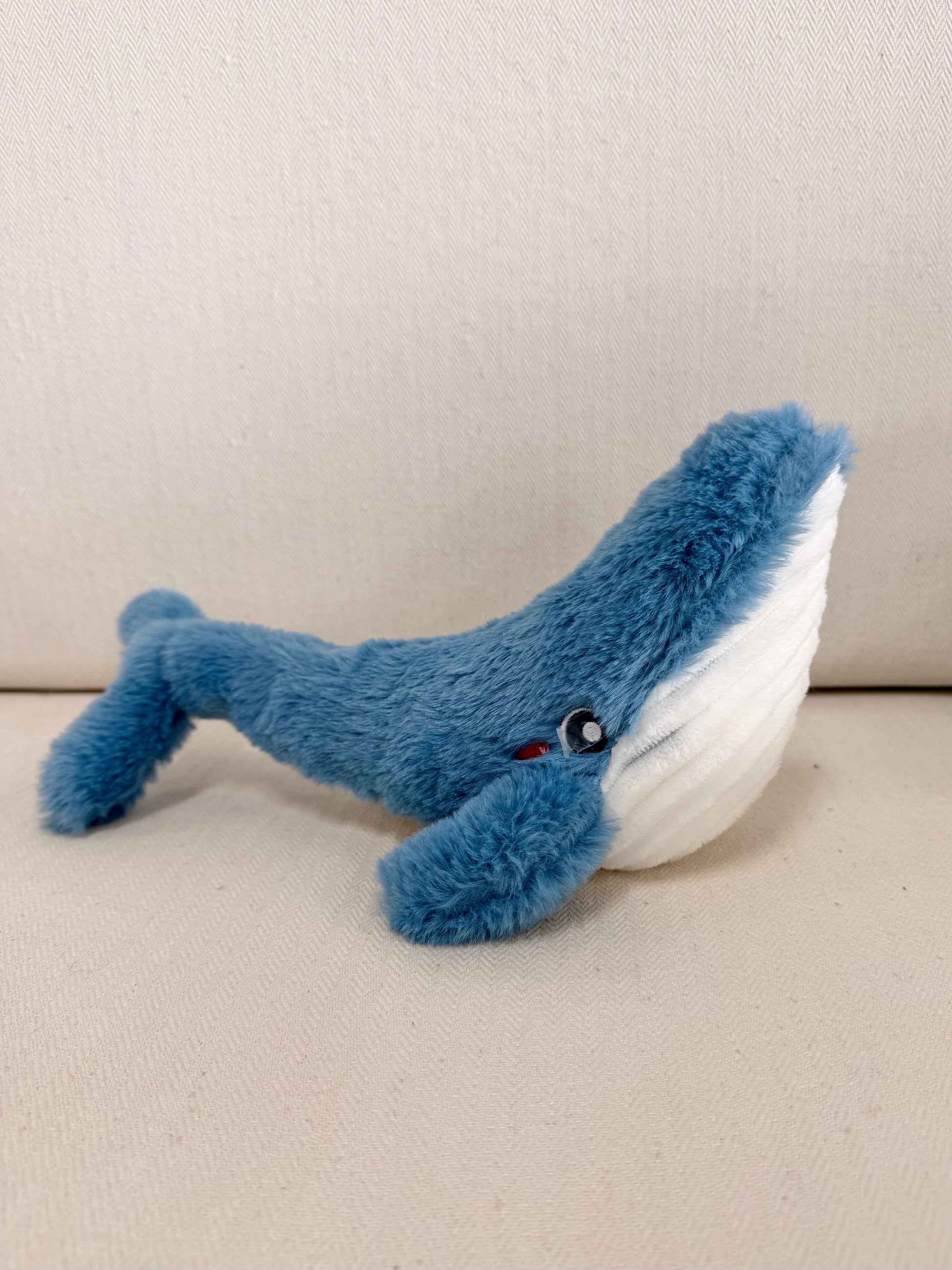 Humpback Whale