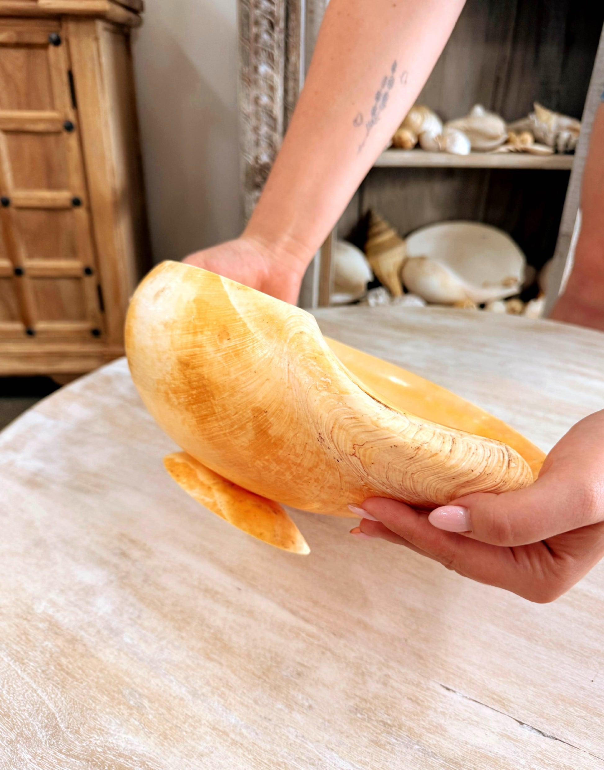 Vintage Shell Bowl - Large
