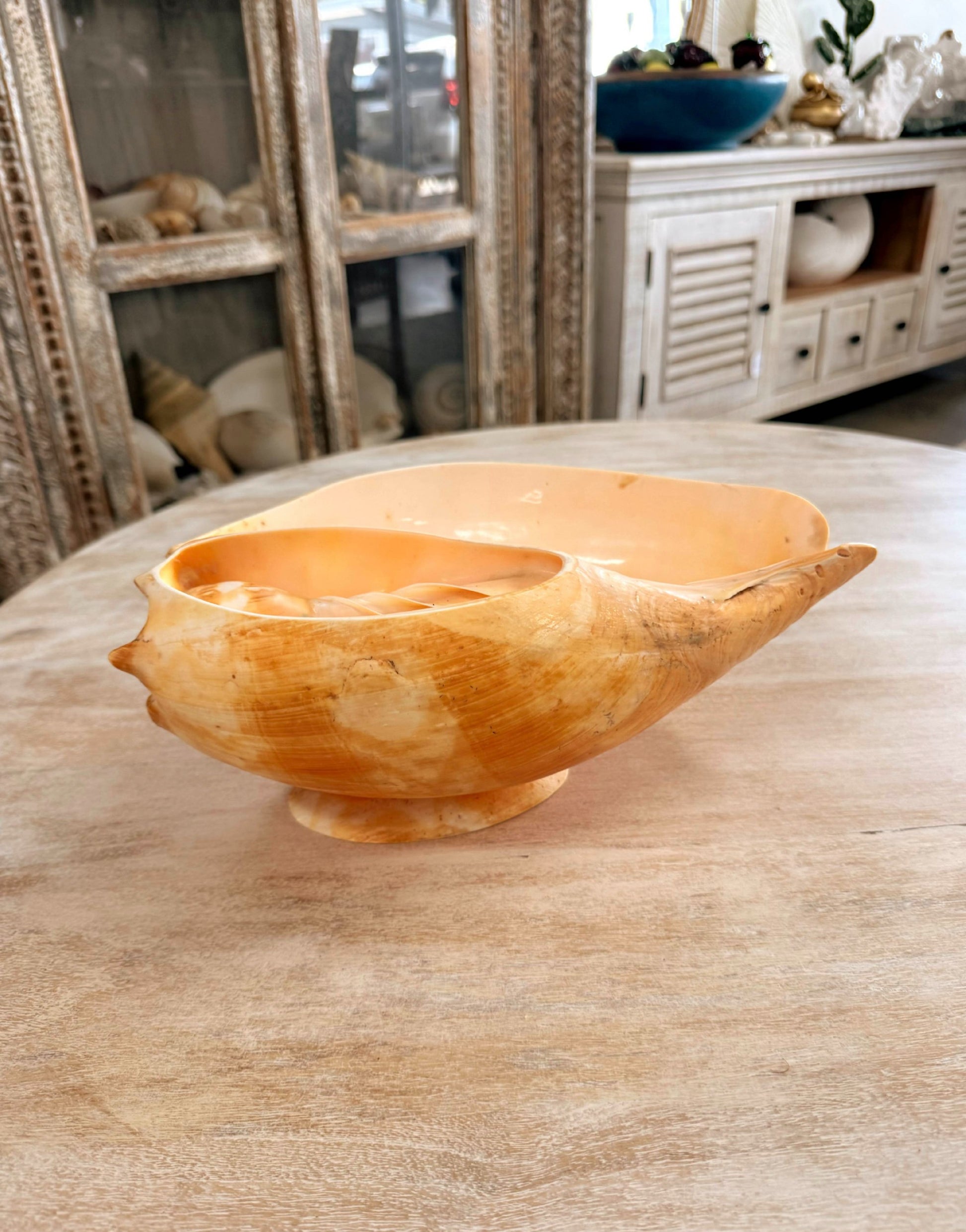 Vintage Shell Bowl - Large